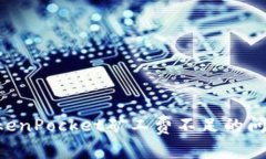 如何解决TokenPocket矿工费不